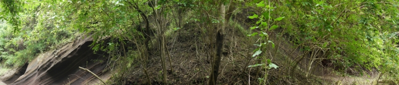 f:id:qshiro:20120709201714j:image:w640