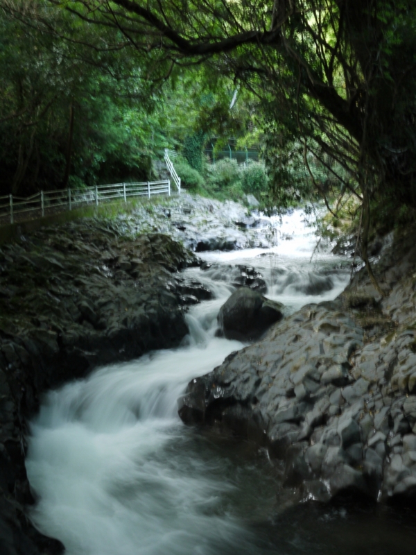 f:id:qshiro:20120709201717j:image:w360