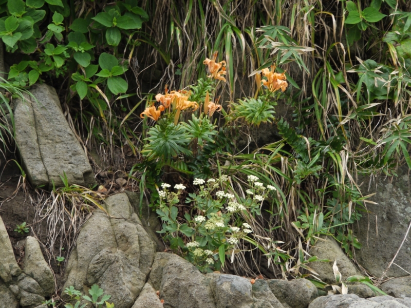 f:id:qshiro:20120714203600j:image:w360