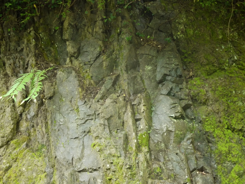 f:id:qshiro:20120714203609j:image:w360