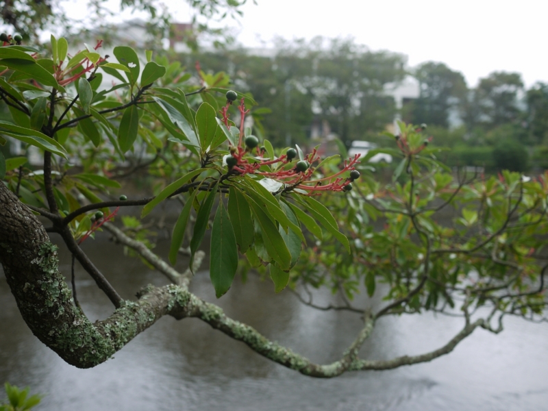 f:id:qshiro:20120714203613j:image:w360