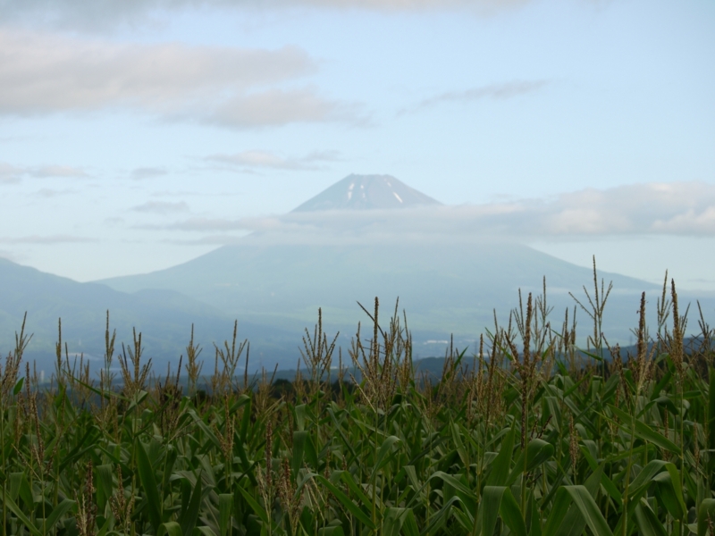 f:id:qshiro:20120801065017j:image:w360