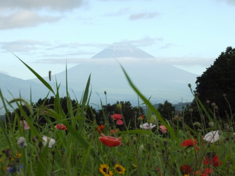 f:id:qshiro:20120801065018j:image:w360