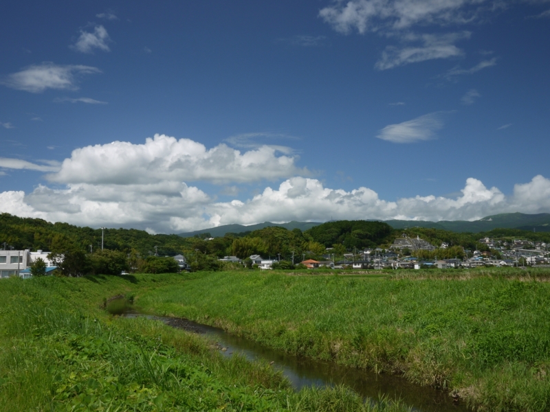 f:id:qshiro:20120801152419j:image:w360