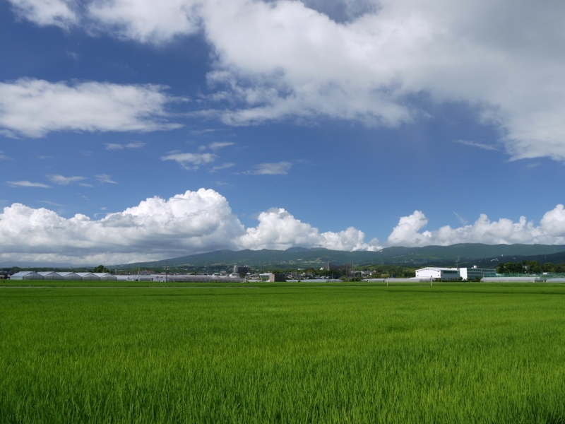 f:id:qshiro:20120801152421j:image:w360