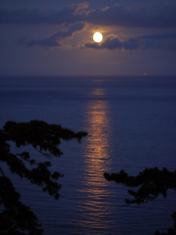 f:id:qshiro:20120804055732j:image:w360