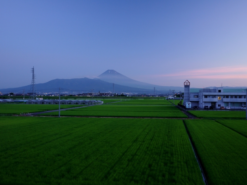 f:id:qshiro:20120804062026j:image:w360