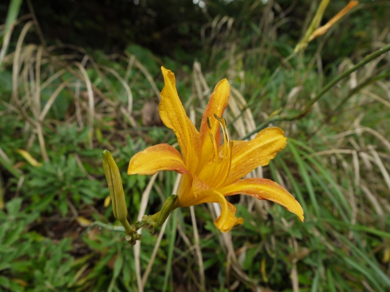 f:id:qshiro:20120818194059j:image:w360