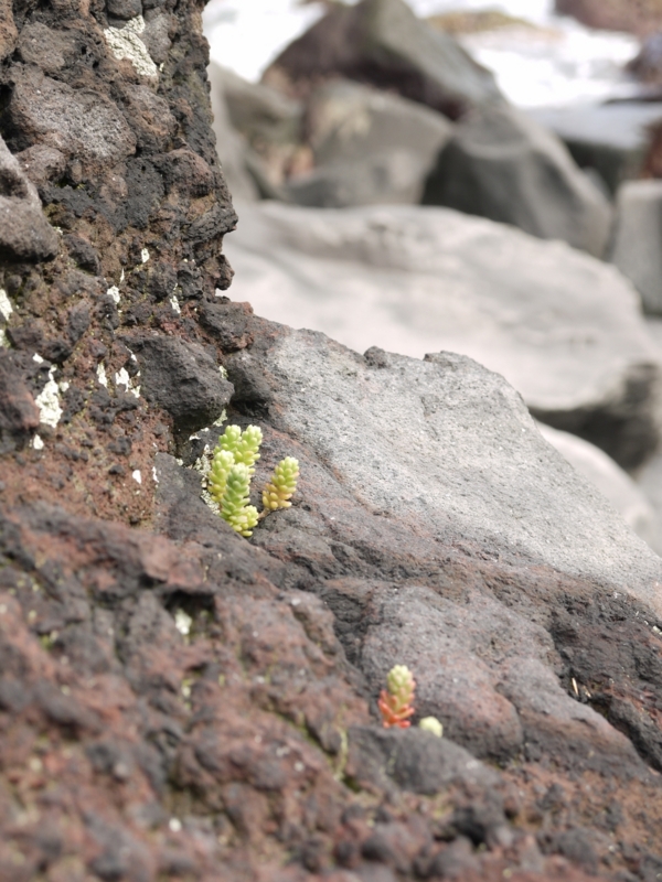 f:id:qshiro:20120818194103j:image:w360