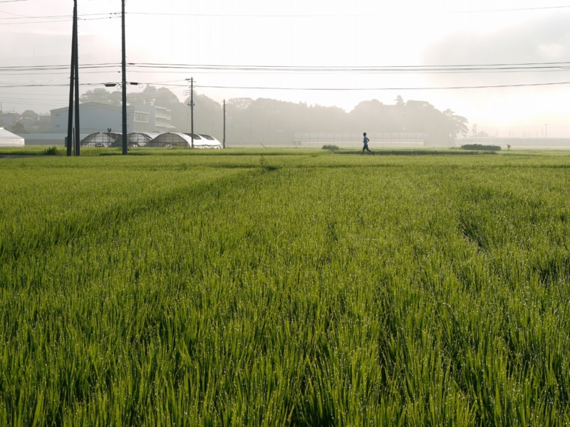 f:id:qshiro:20120819064244j:image:w360