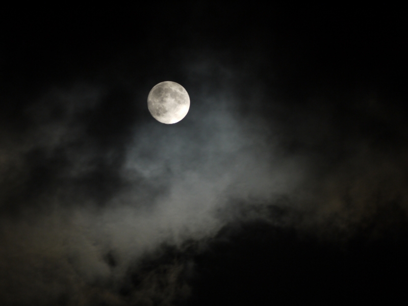 f:id:qshiro:20120830195216j:image:w360