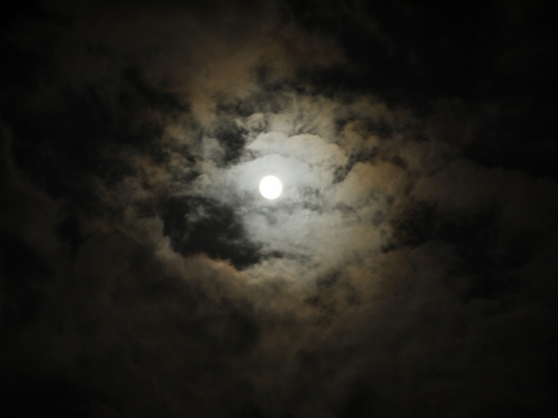 f:id:qshiro:20120830195217j:image:w360