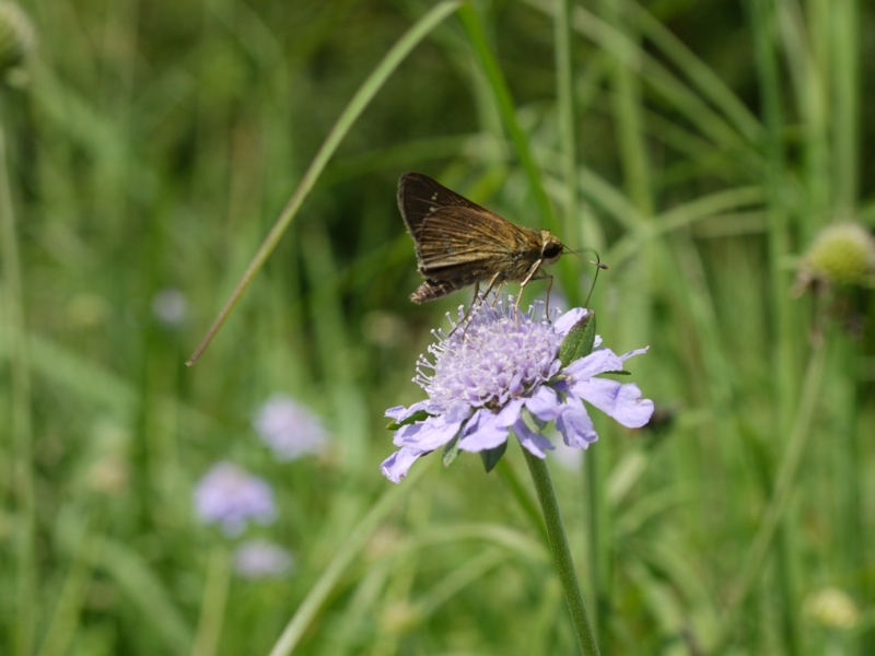 f:id:qshiro:20120903191009j:image:w360