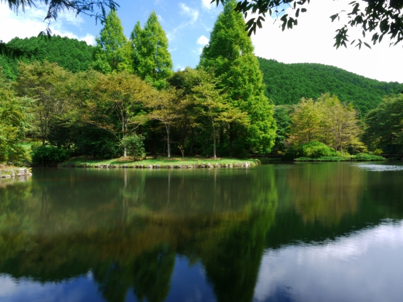 f:id:qshiro:20120903191010j:image:w360