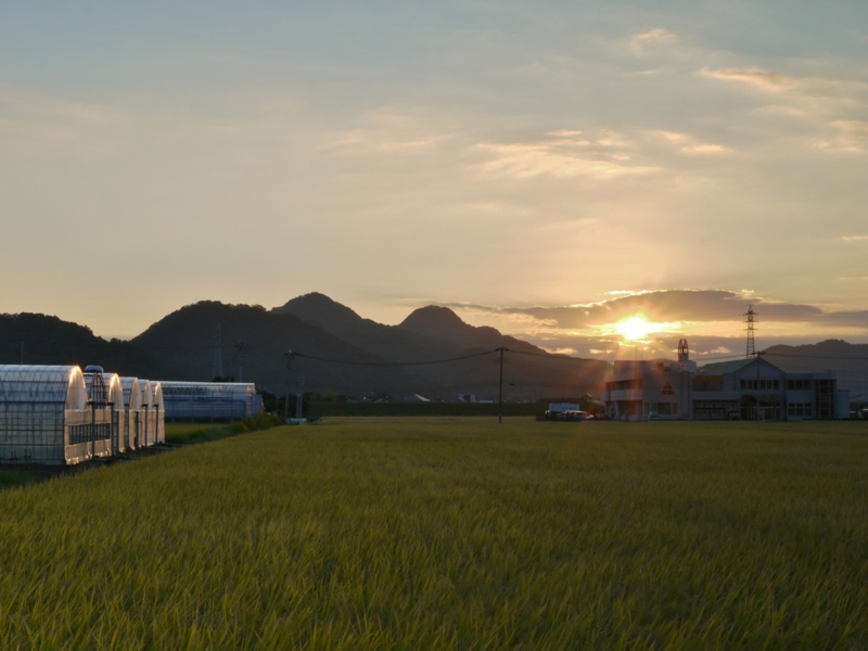 f:id:qshiro:20121009203824j:image:w360