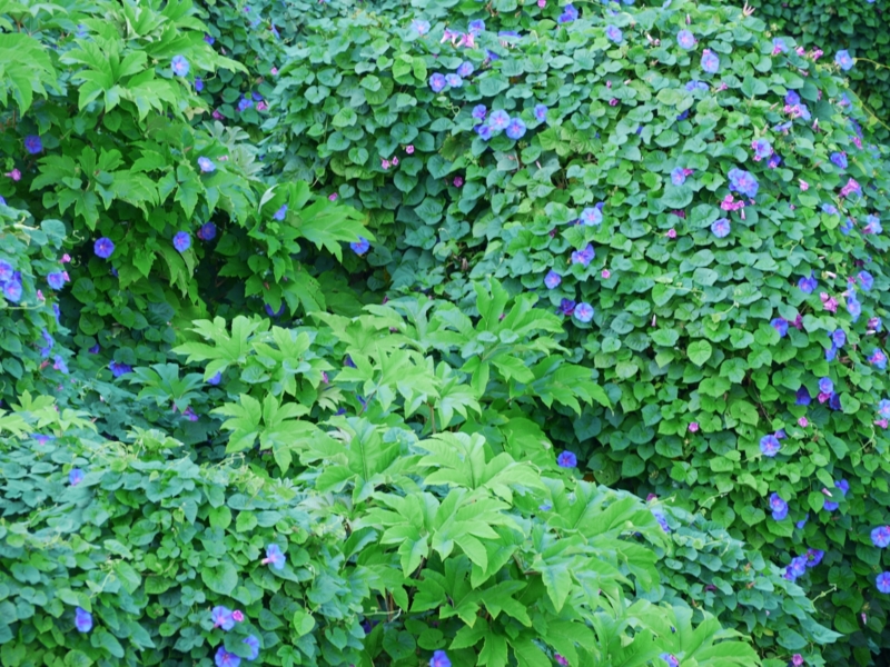 f:id:qshiro:20121025194549j:image:w360