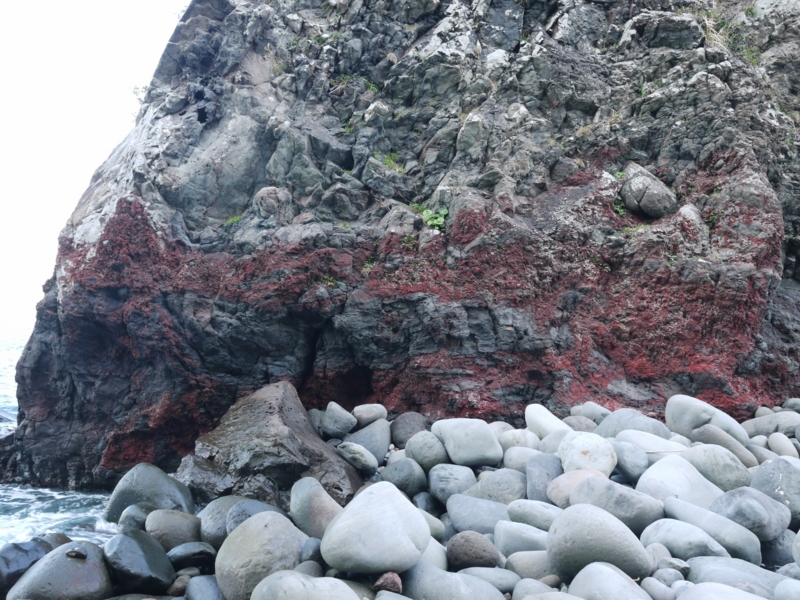 f:id:qshiro:20121025194555j:image:w360