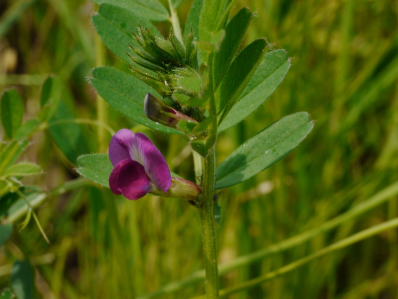 f:id:qshiro:20130419132420j:image:w360