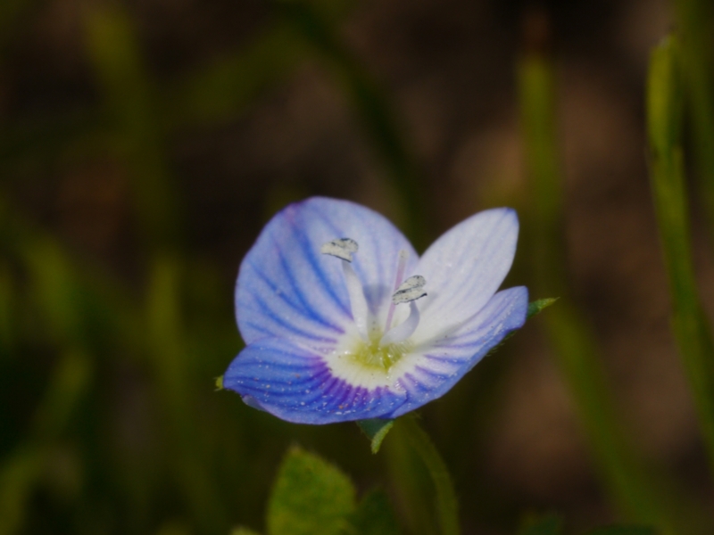 f:id:qshiro:20130419132421j:image:w360