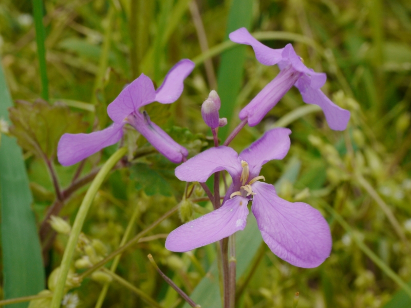 f:id:qshiro:20130419132424j:image:w360