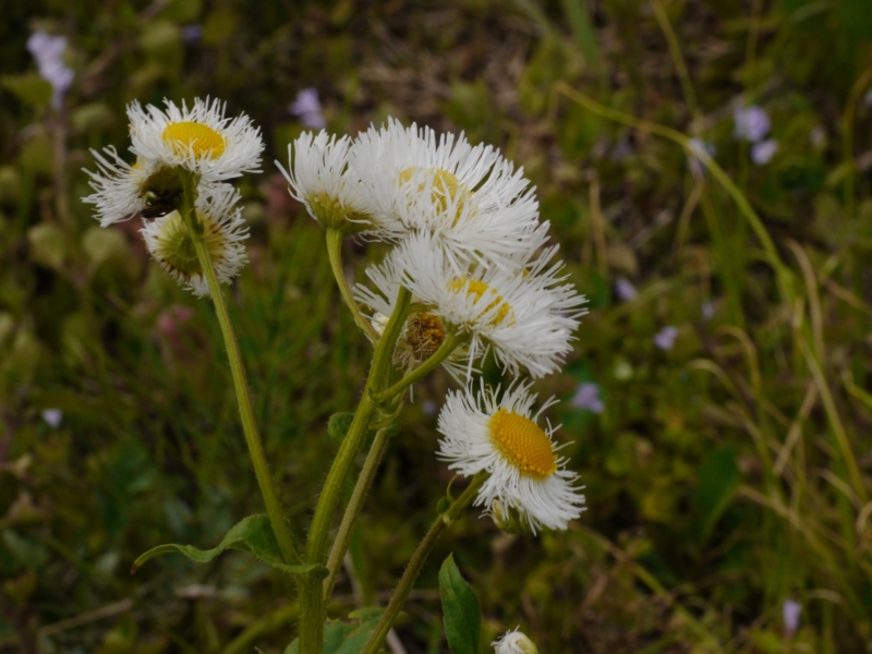 f:id:qshiro:20130419132426j:image:w360