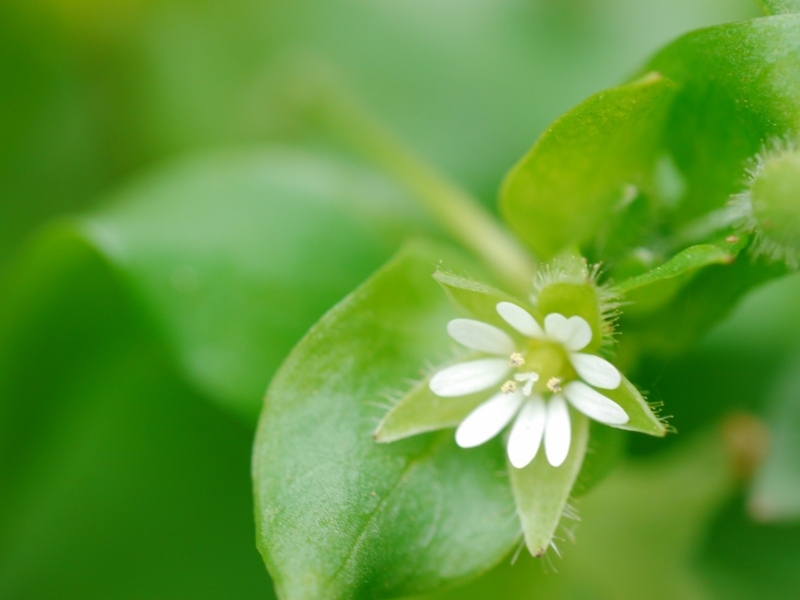 f:id:qshiro:20130419132429j:image:w360