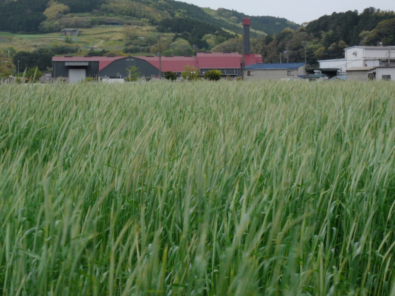 f:id:qshiro:20130419132433j:image:w360