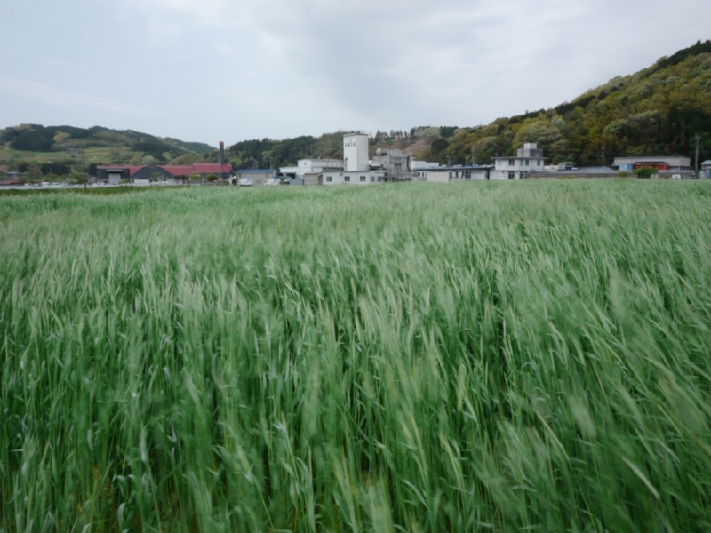 f:id:qshiro:20130419132434j:image:w360