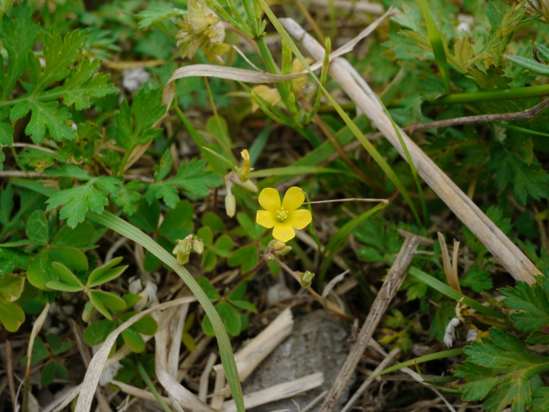 f:id:qshiro:20130419132436j:image:w360