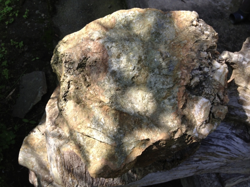 f:id:qshiro:20130522181949j:image:w360