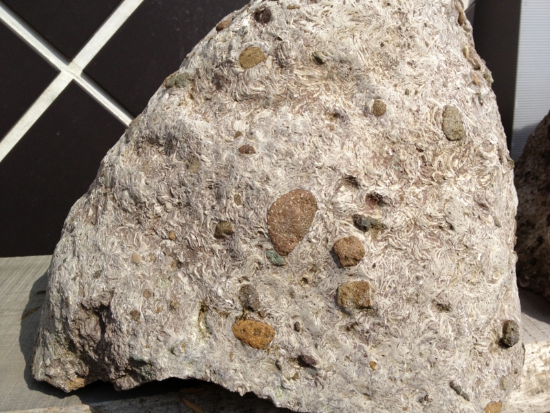 f:id:qshiro:20130522181950j:image:w360