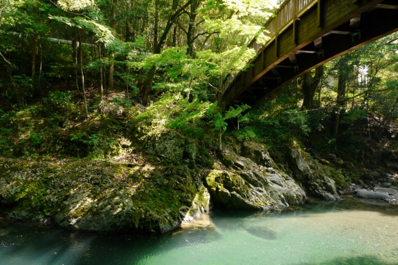 f:id:qshiro:20130522181952j:image:w360