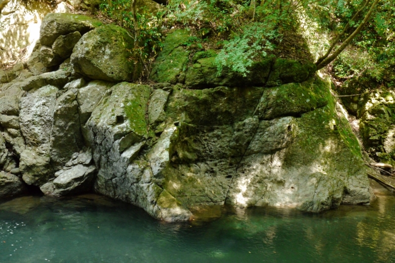 f:id:qshiro:20130522181953j:image:w360