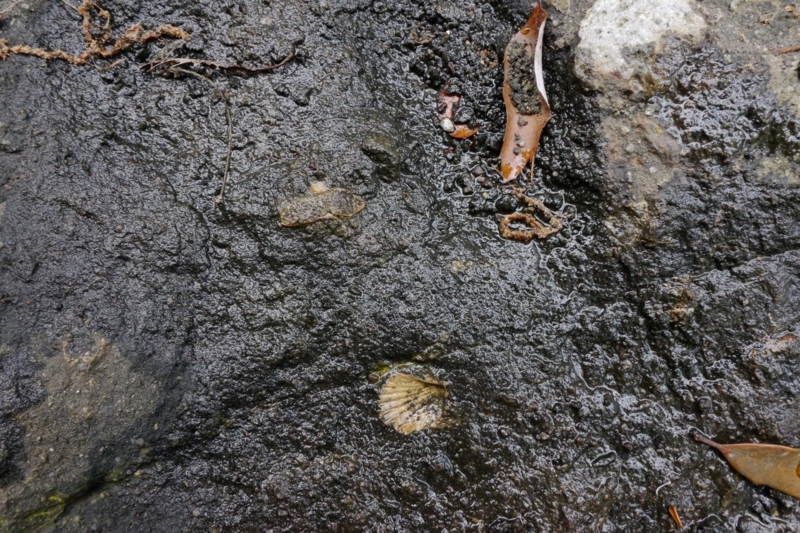 f:id:qshiro:20130522181957j:image:w360