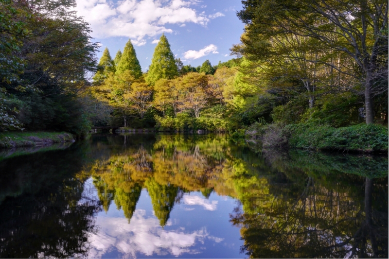 f:id:qshiro:20131002175834j:image:w360