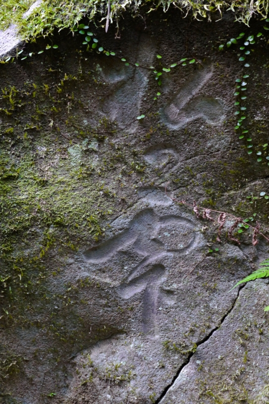 f:id:qshiro:20140205150552j:image:w280