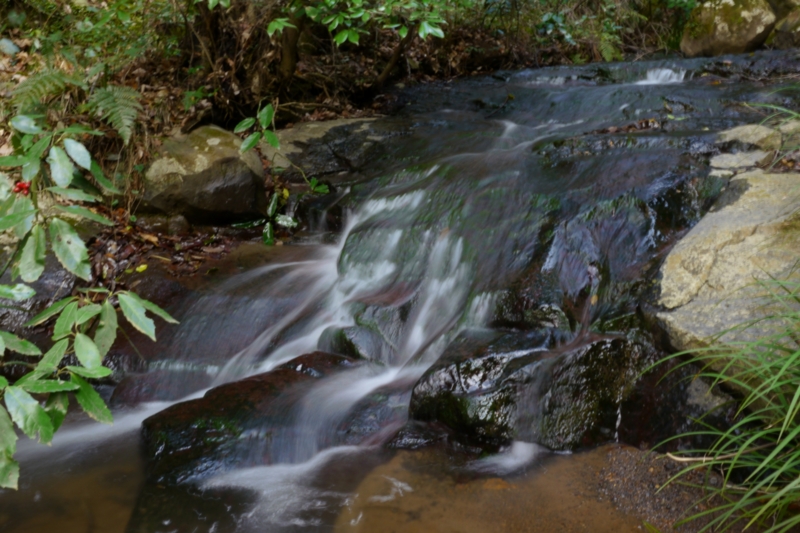 f:id:qshiro:20140205150554j:image:w360