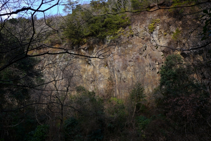 f:id:qshiro:20140205150555j:image:w360