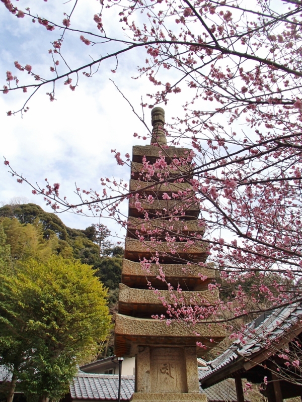 f:id:qshiro:20140303210353j:image:w270