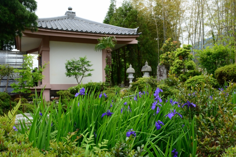 f:id:qshiro:20140523055937j:image:w360 f:id:qshiro:20140523055937j:image:w360