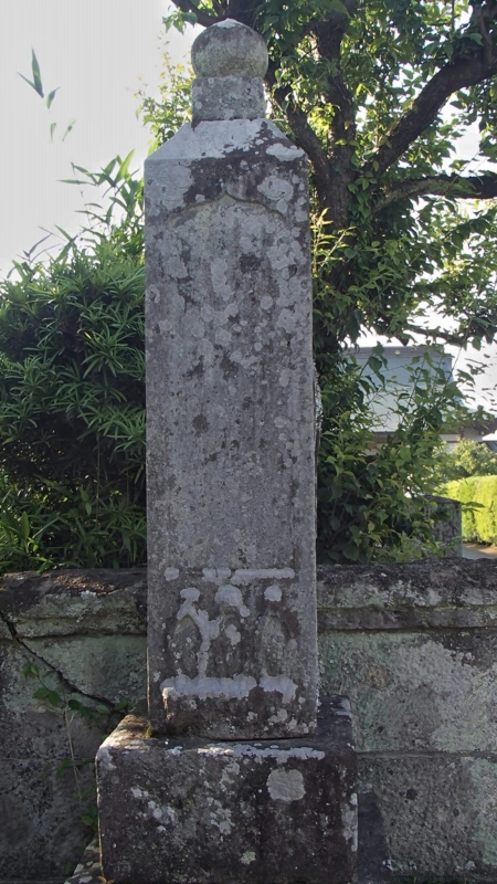 f:id:qshiro:20140602182905j:image:w145 f:id:qshiro:20140602182905j:image:w145