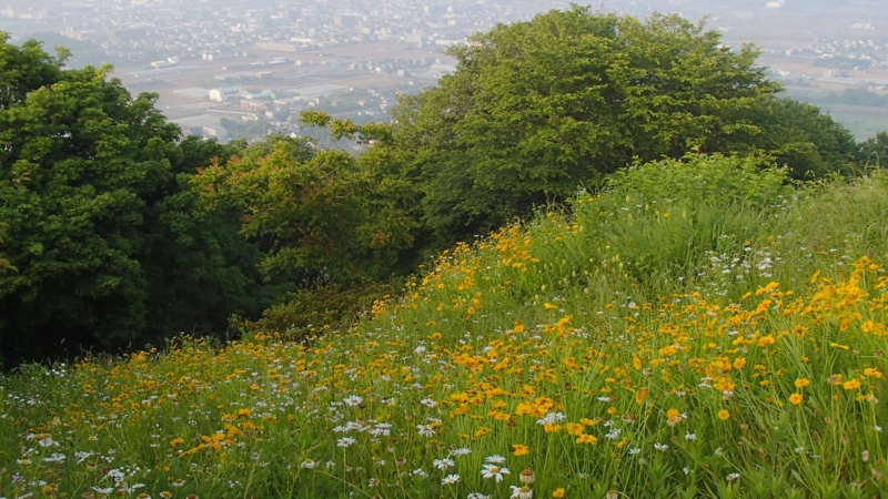 f:id:qshiro:20140602182910j:image:w220 f:id:qshiro:20140602182910j:image:w220