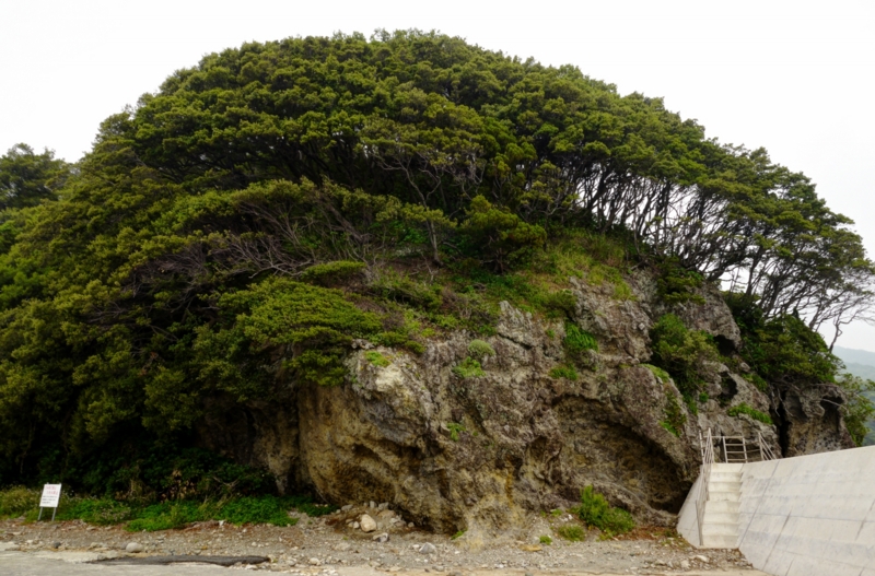 f:id:qshiro:20140603200824j:image:w360