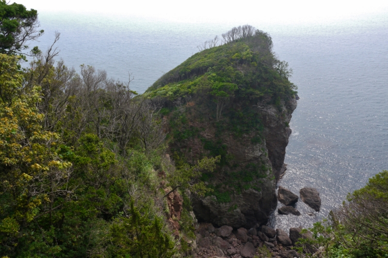 f:id:qshiro:20140603200826j:image:w360