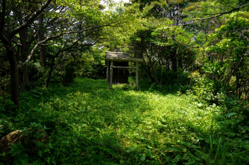 f:id:qshiro:20140603200835j:image:w360