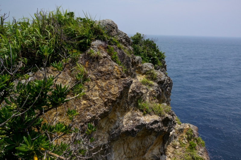 f:id:qshiro:20140603200836j:image:w360