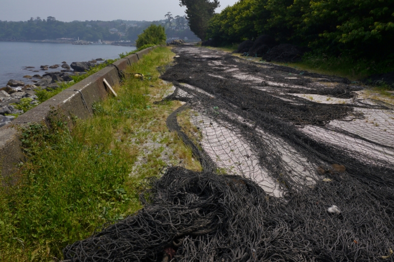 f:id:qshiro:20140603200841j:image:w360