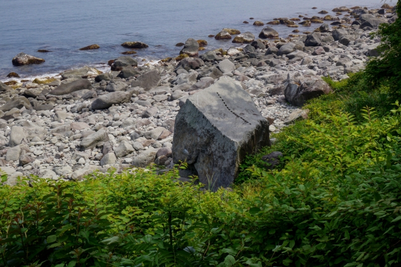 f:id:qshiro:20140603200842j:image:w360