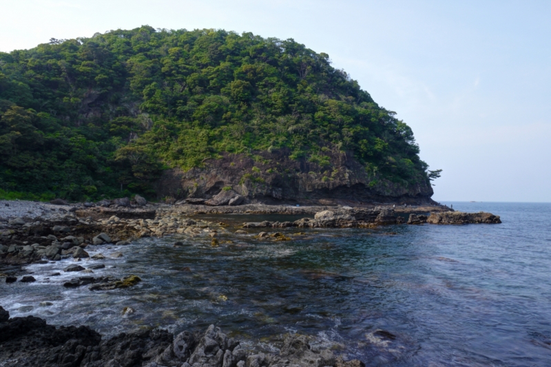 f:id:qshiro:20140603200853j:image:w360