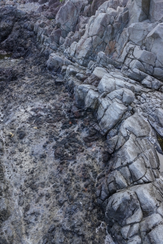 f:id:qshiro:20140603200855j:image:w280